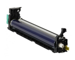 Ricoh D8092011