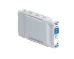 Epson C13T692200