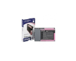 Epson C13T543600