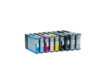Epson C13T602900