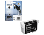 Epson C13T76084010
