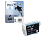 Epson C13T76054010