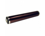 Katun 16772