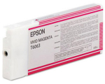 Epson C13T606300