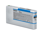 Epson C13T913200