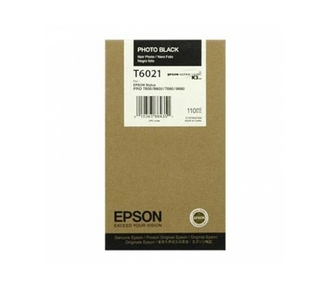 Картридж Epson Singlepack Photo Black T602100