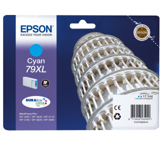 Epson C13T79024010