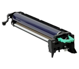 Ricoh D1442251