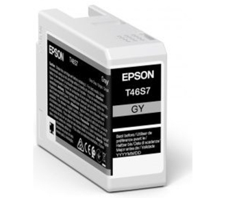 Epson C13T46S700
