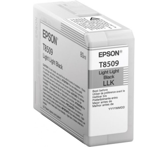 Epson C13T850900