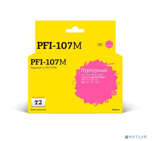 T2 IC-CPFI-107M