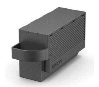 Epson C13T366100