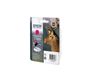 Epson C13T13034012