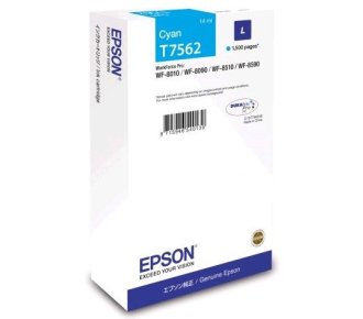 Epson C13T756240