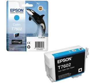 Epson C13T76024010