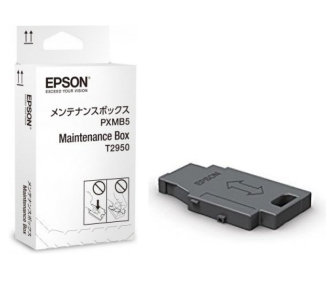 Epson C13T295000