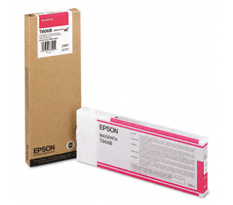 Epson C13T606B00