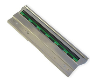 Toshiba печатающая головка ASSY-PRINT-HEAD-203-FV4D