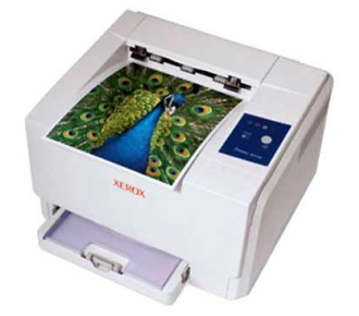 Xerox Phaser 6110