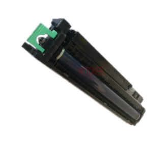 Ricoh D1442253
